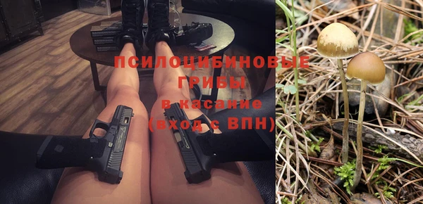 твердый Елизово